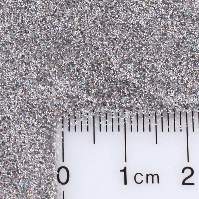 Crushed Silver Jewel